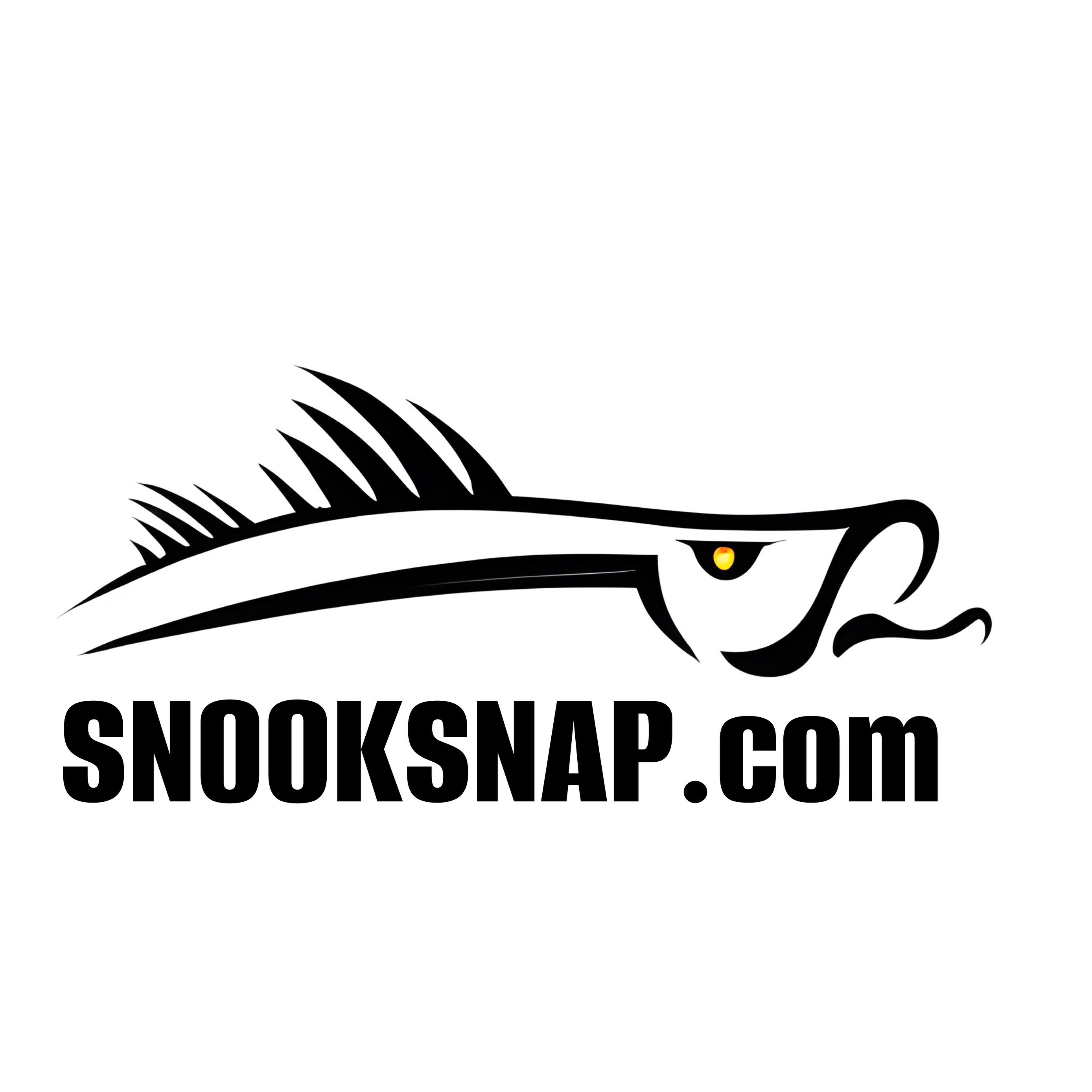 SnookSnap fishing brand feature image
